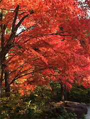 D&O保険について